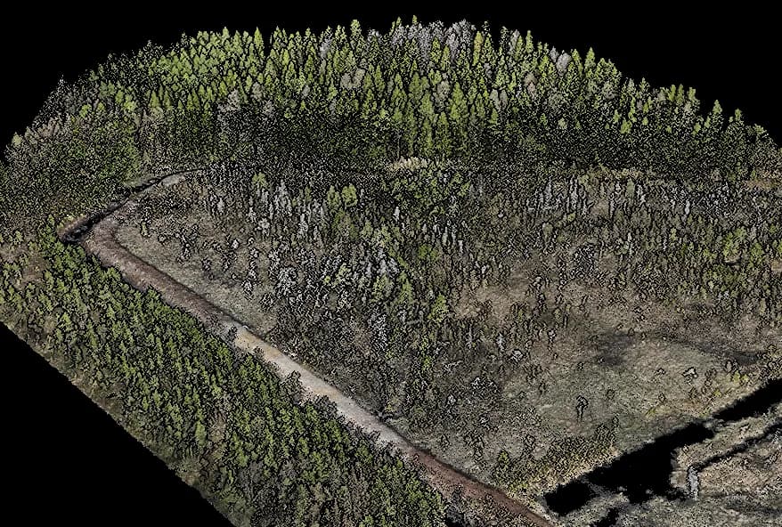 Point cloud of forest and terrain from a drone scan