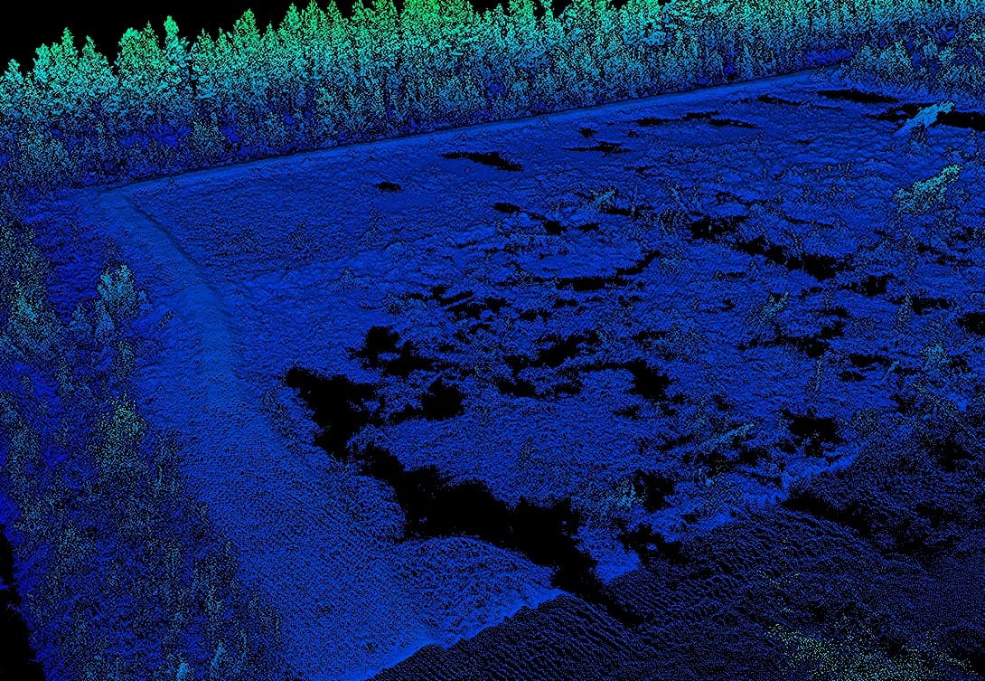 Point cloud of terrain and forest edge coloured by elevation