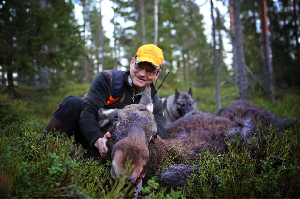 Stefan Hagman med jakthundar i skogen