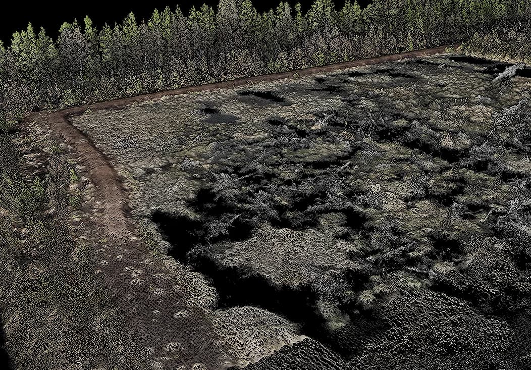 Punktmoln av terräng och skogsbryn från UAV LIDAR